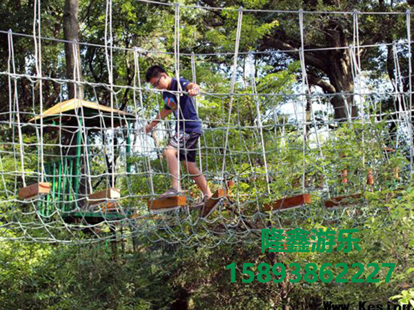 叢林穿越成功案例